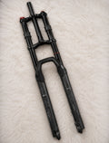 Dual crown forks