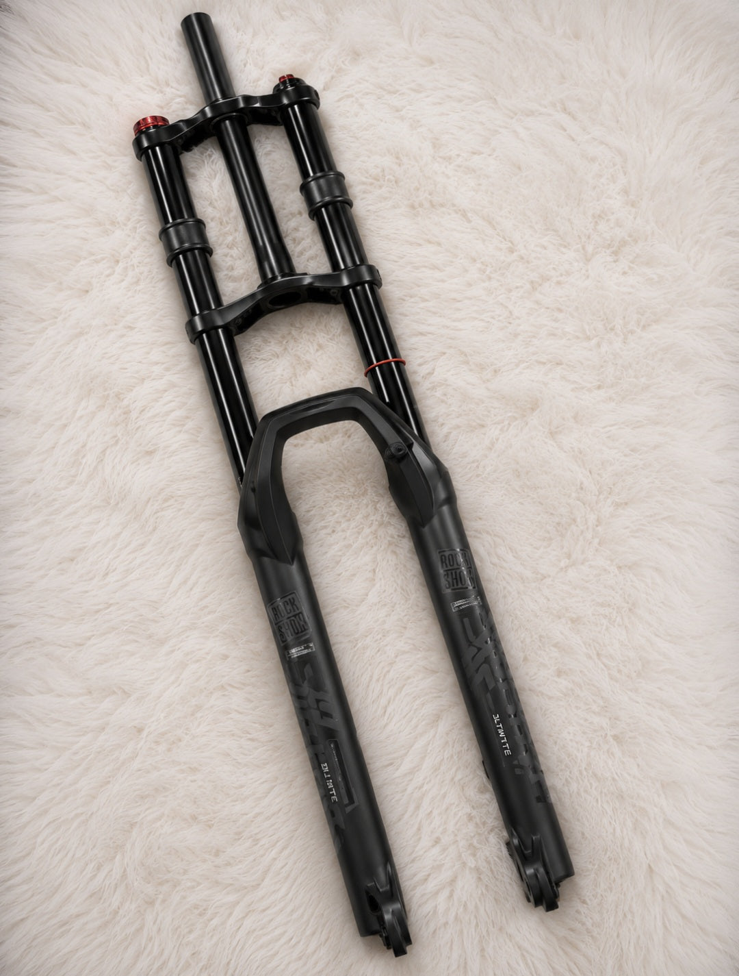 Dual crown forks